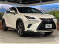 2019 Lexus NX