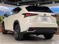 2019 Lexus NX