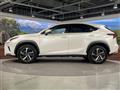 2019 Lexus NX