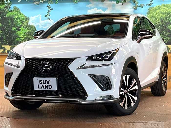 2019 Lexus NX