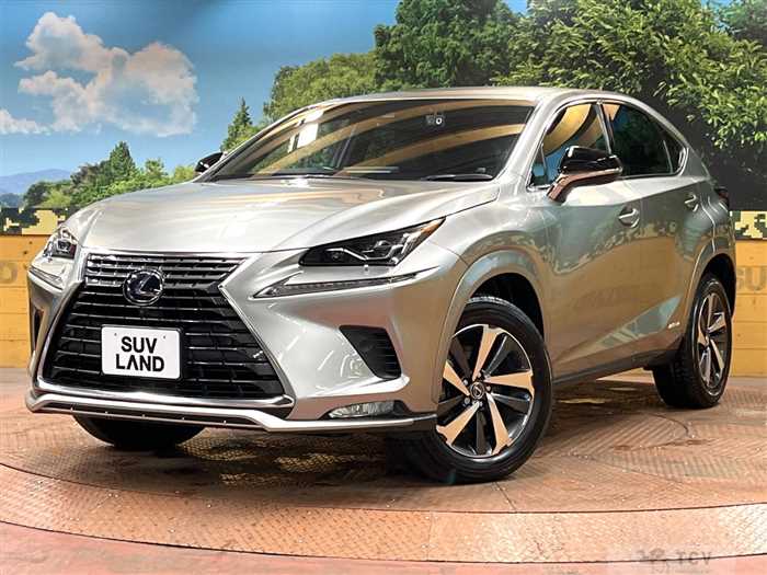 2021 Lexus NX