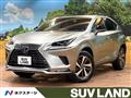 2021 Lexus NX