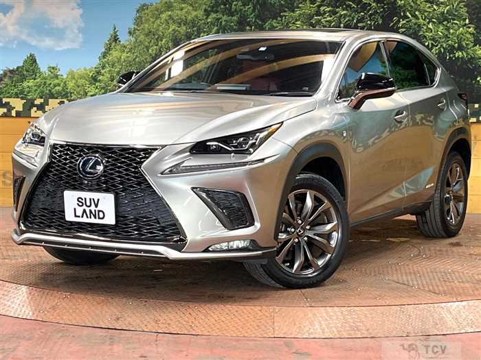 2019 Lexus NX