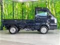 2025 Suzuki Carry Truck