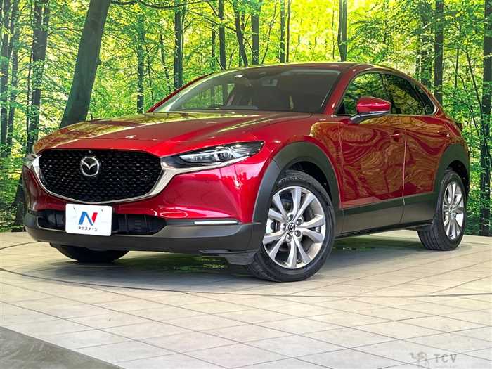 2019 Mazda Mazda Others