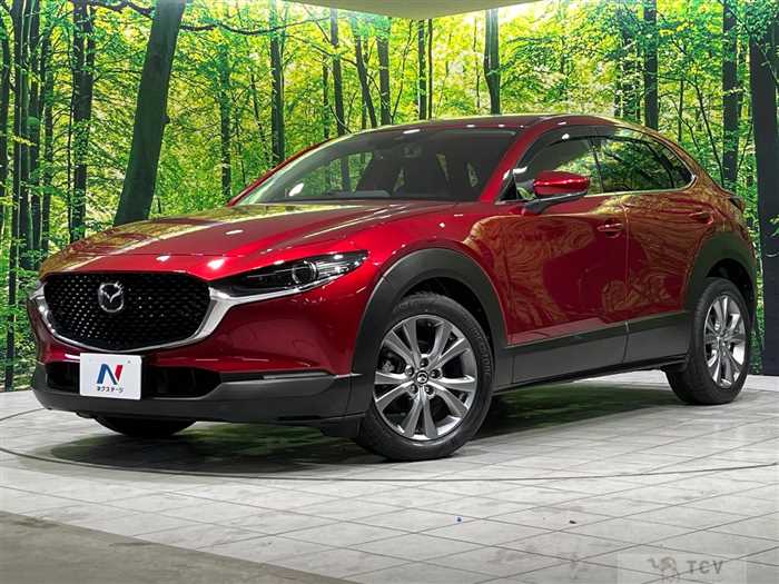 2019 Mazda Mazda Others