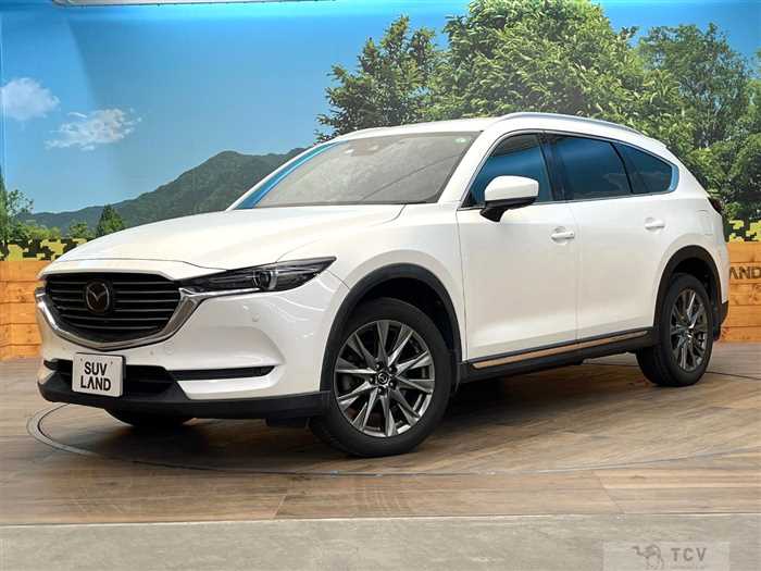 2019 Mazda CX-8