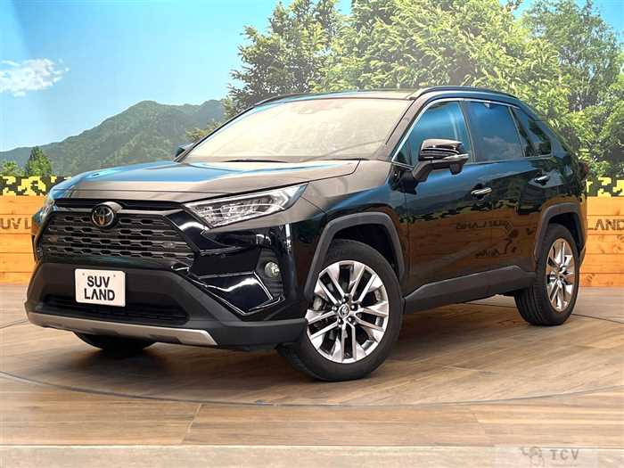 2020 Toyota RAV4