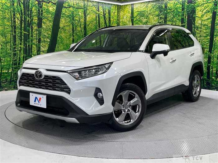 2019 Toyota RAV4
