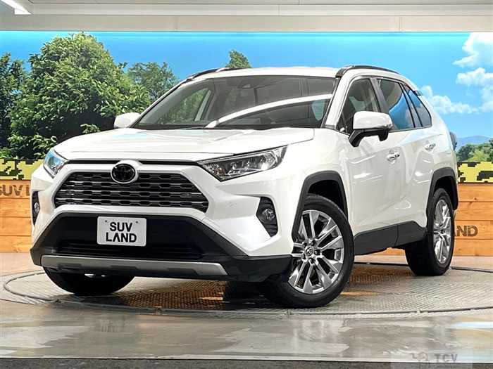 2019 Toyota RAV4