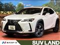2019 Lexus Other
