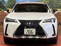 2019 Lexus Other