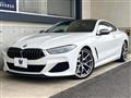 2019 BMW 8 Series