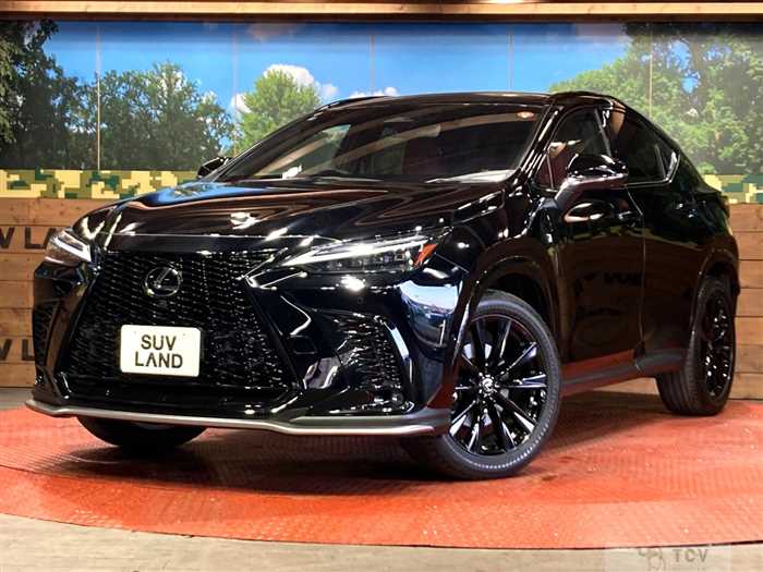 2022 Lexus NX