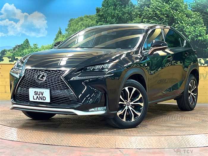 2017 Lexus NX