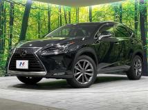 2018 Lexus NX