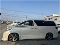 2010 Toyota Alphard G
