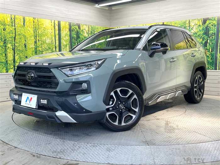 2019 Toyota RAV4