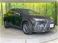 2024 Lexus NX