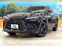 2022 Lexus NX