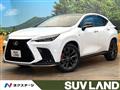 2021 Lexus NX