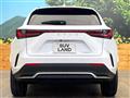 2021 Lexus NX