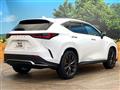 2021 Lexus NX