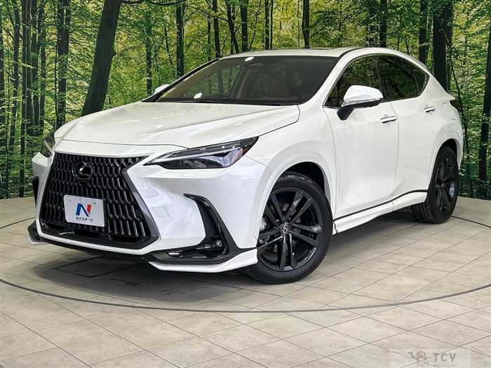 2023 Lexus NX