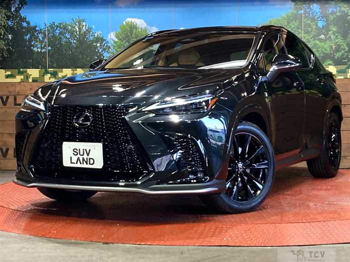 2024 Lexus NX