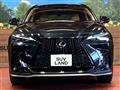 2024 Lexus NX