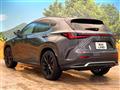 2025 Lexus NX