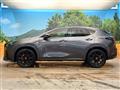 2025 Lexus NX