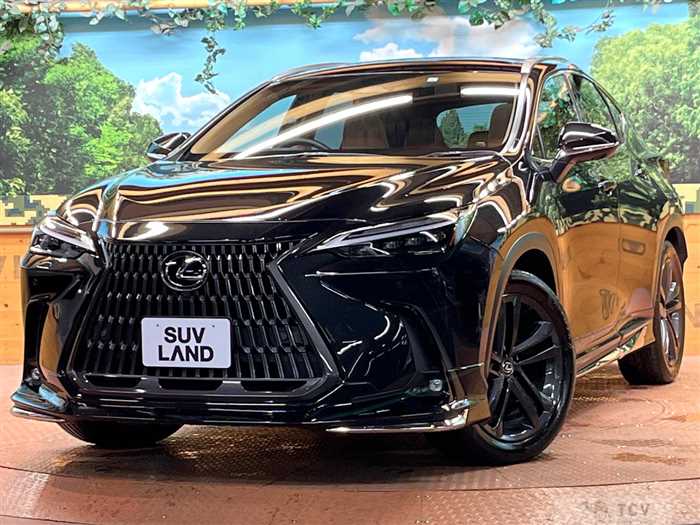 2023 Lexus NX