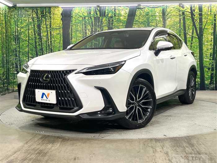 2023 Lexus NX