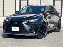2023 Lexus NX