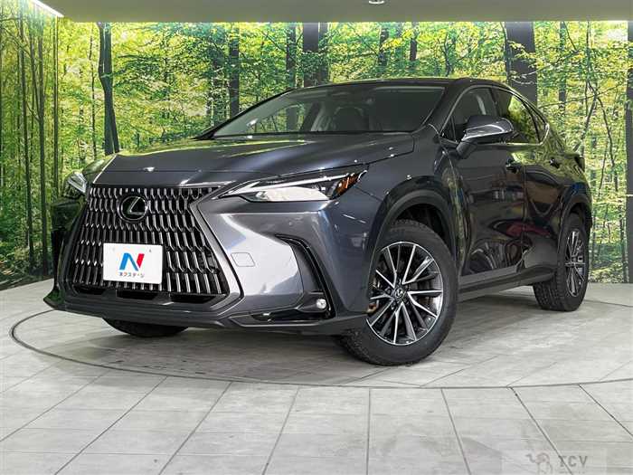 2023 Lexus NX