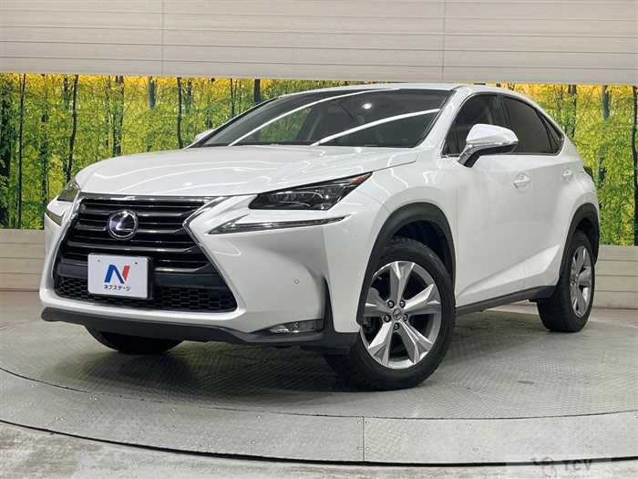 2015 Lexus NX