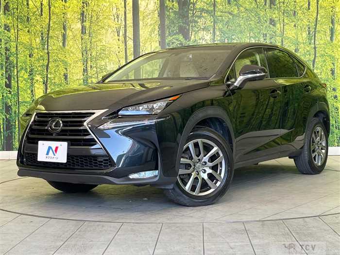 2016 Lexus NX