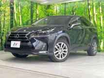 2017 Lexus NX