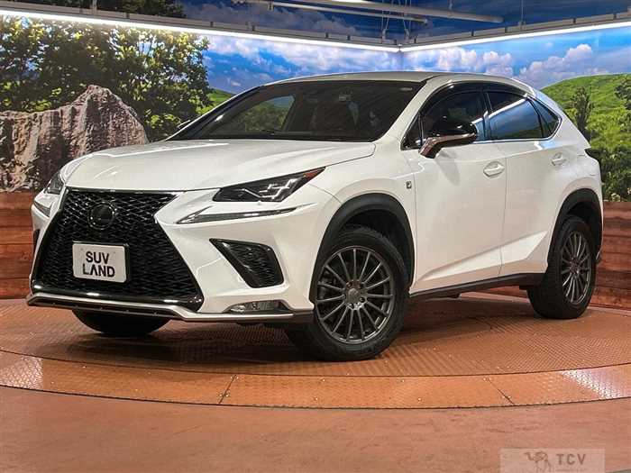 2018 Lexus NX