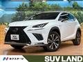 2018 Lexus NX