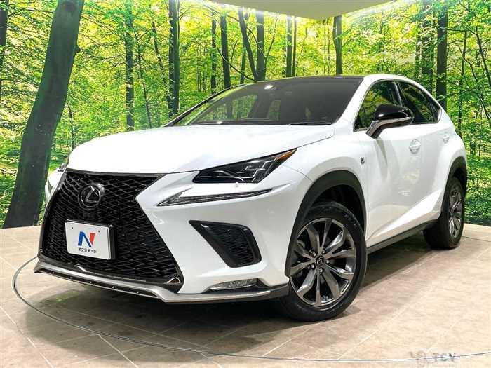 2019 Lexus NX