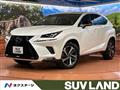 2019 Lexus NX