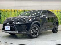 2020 Lexus NX