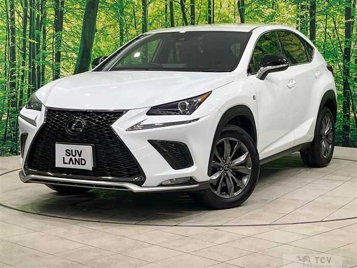 2020 Lexus NX