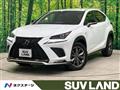 2020 Lexus NX
