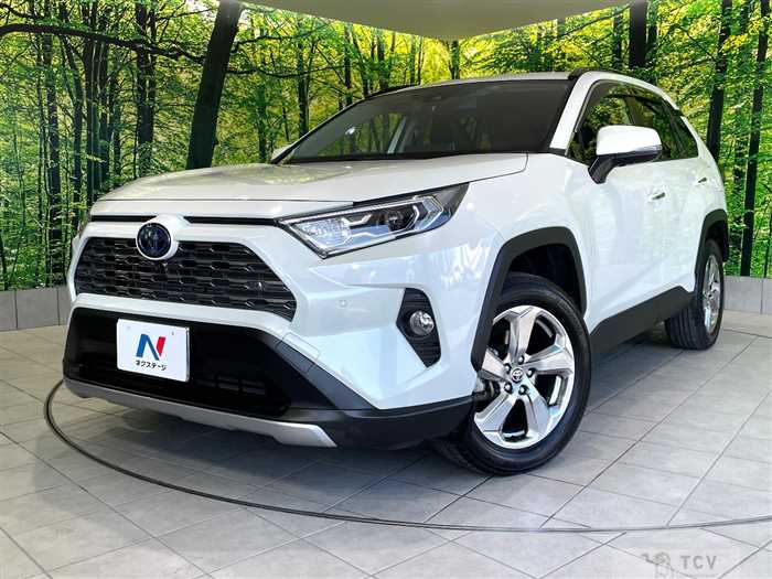 2020 Toyota RAV4