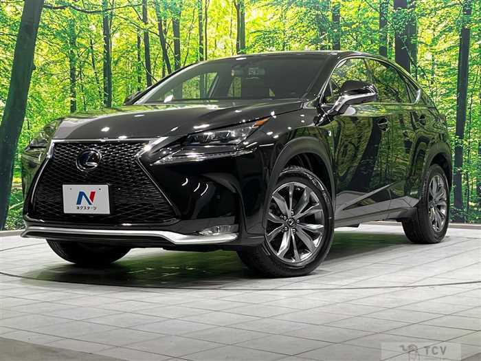 2015 Lexus NX