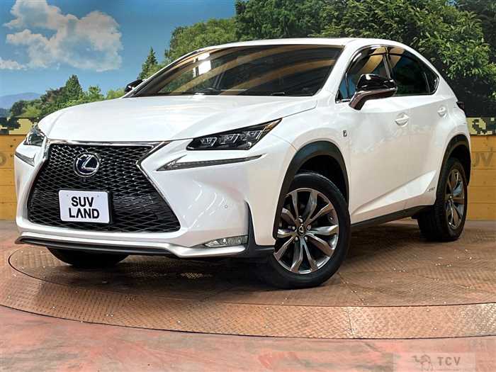 2015 Lexus NX