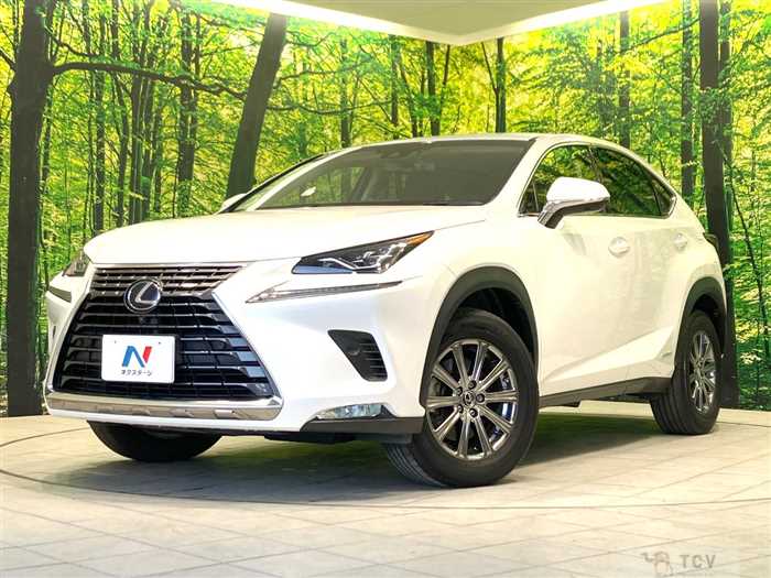 2018 Lexus NX